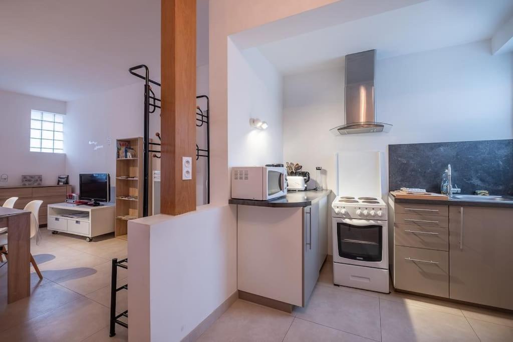 Apartament Le Dauphin Amboise Zewnętrze zdjęcie
